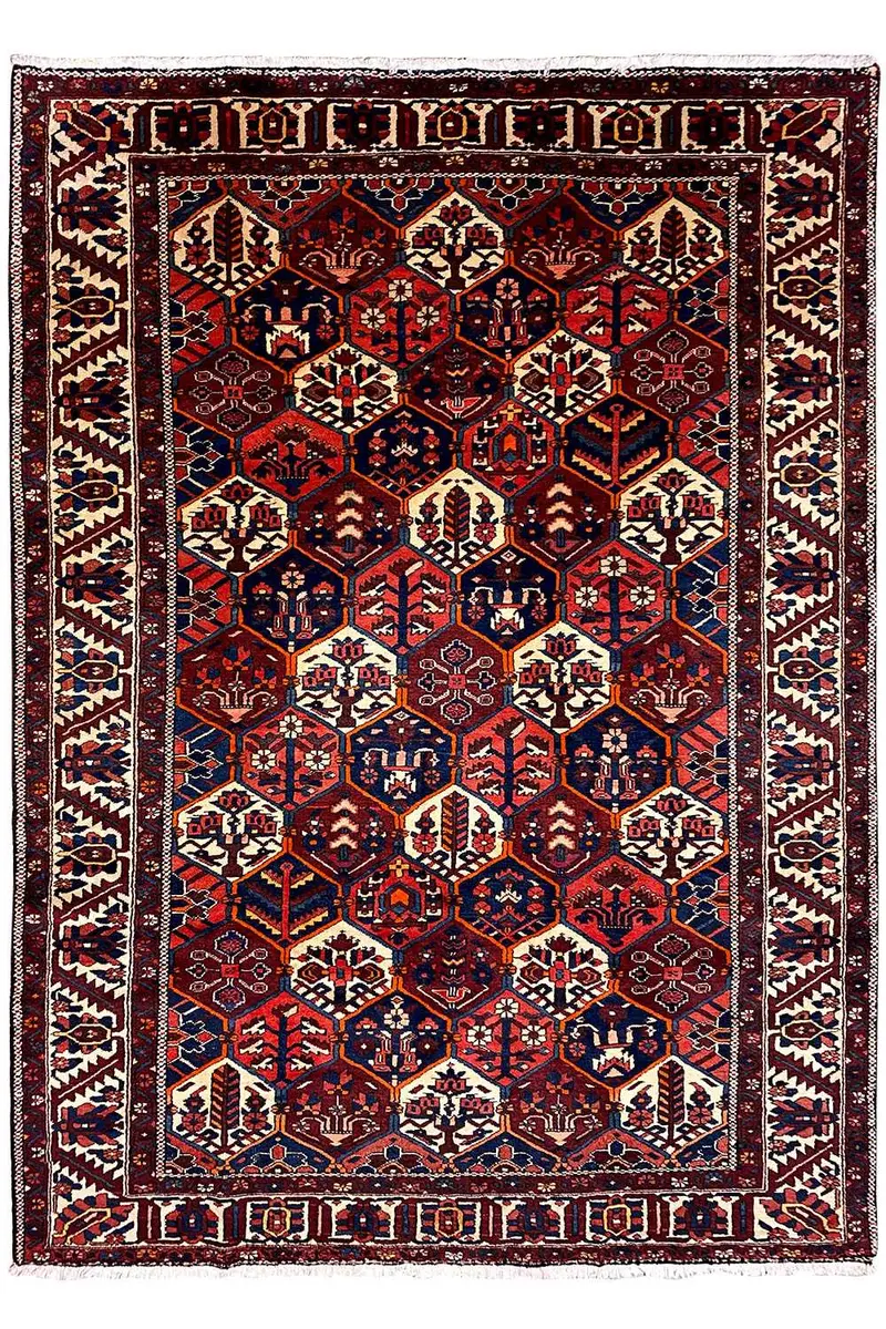 Bakhtiari (294x217 cm)