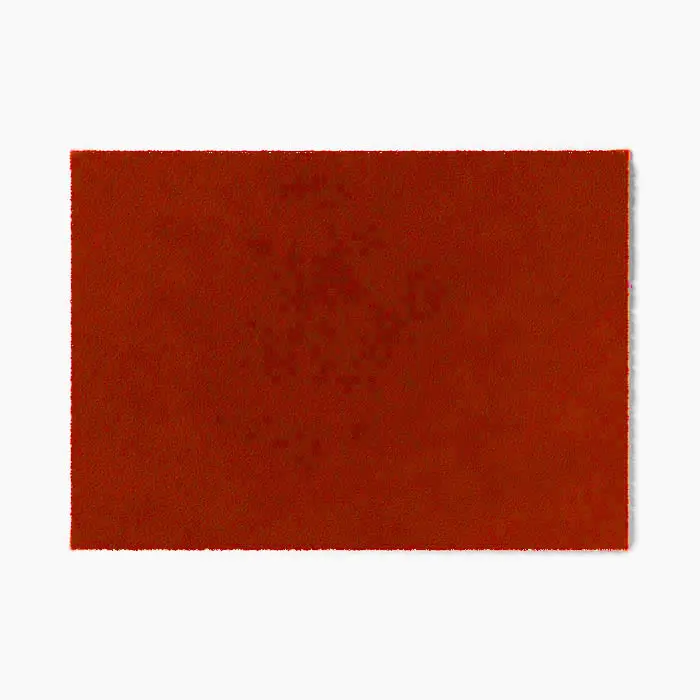 ColorStar Indoor Doormat Earth