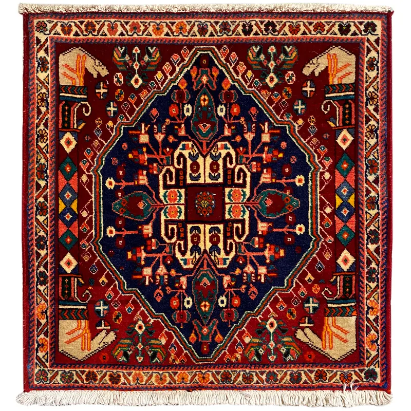 Poshti Teppich - 64x64 cm