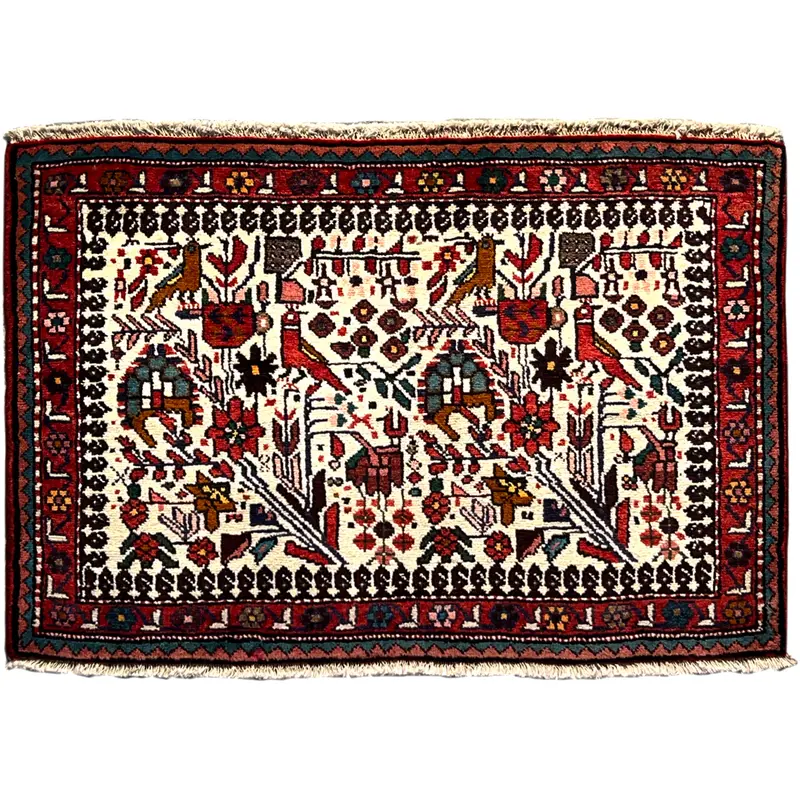 Poshti Teppich, Bunt, 104x68 cm