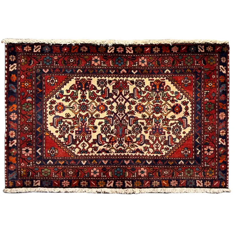 Poshti Teppich, Rot, 109x66 cm
