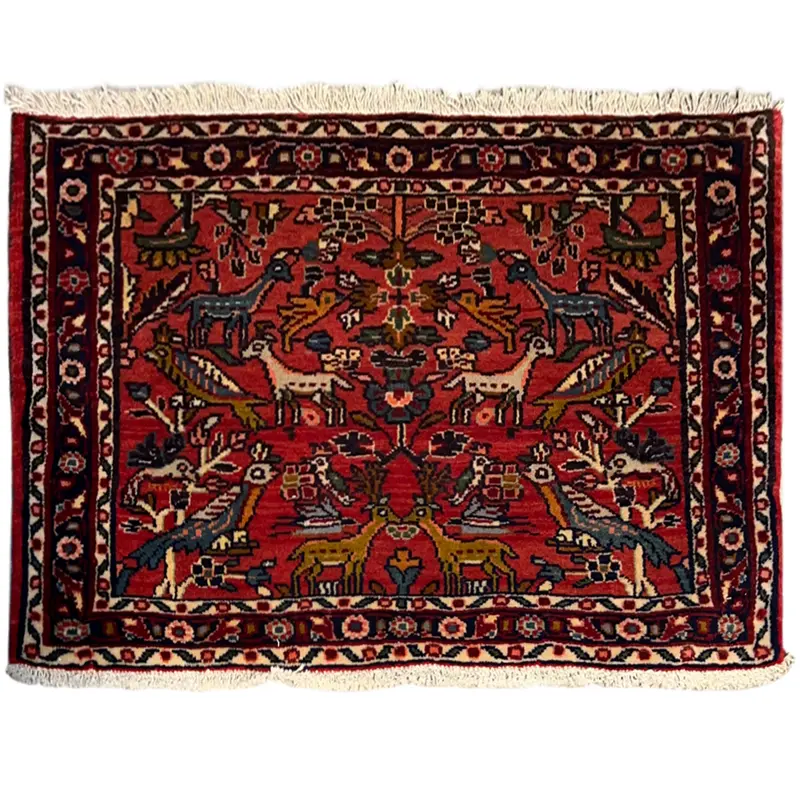 Poshti Teppich, Rot, 77x51 cm