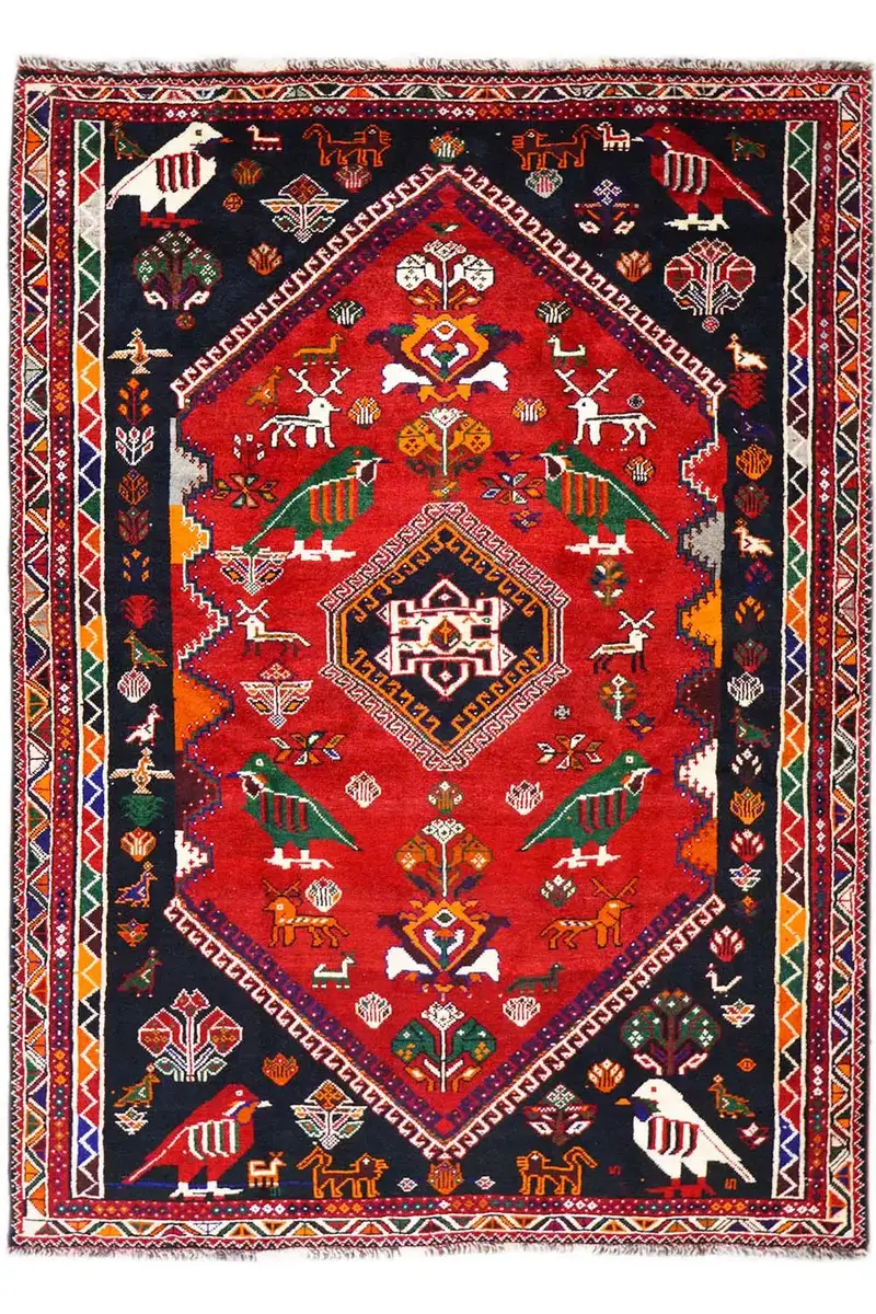 Shiraz - 8951541 (255x170 cm)